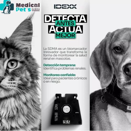 472460488_588943843894672_2395918257105303655_n