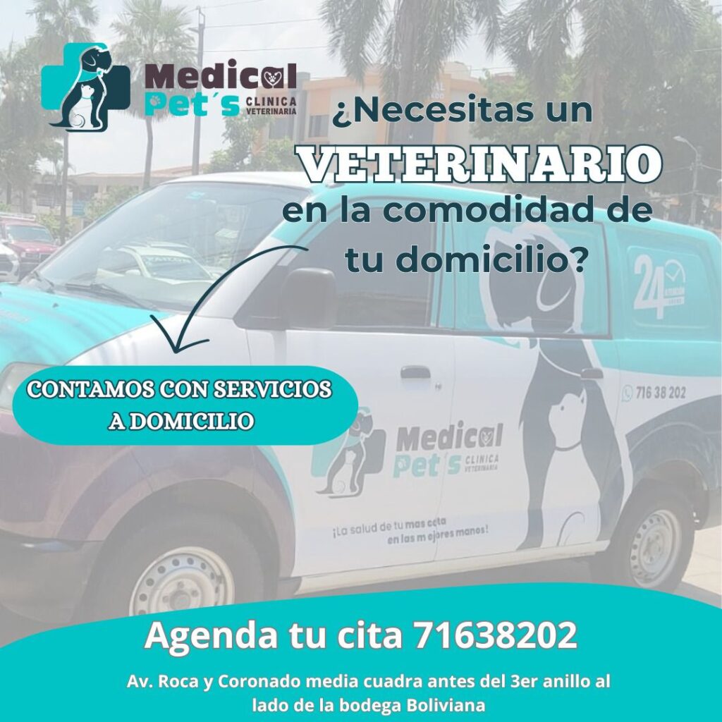 473782899_596741139781609_5166146238325521281_n