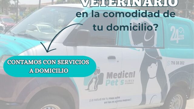 473782899_596741139781609_5166146238325521281_n