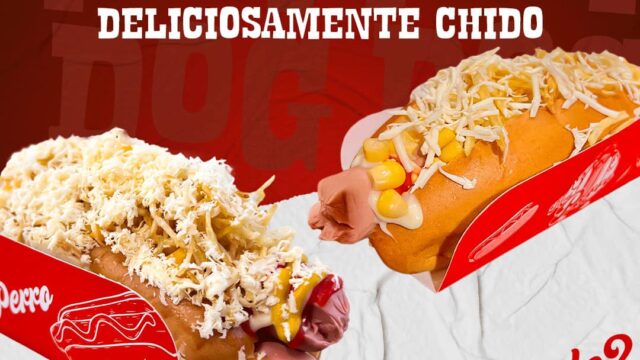 474122068_122157203972308424_4268553797241395997_n