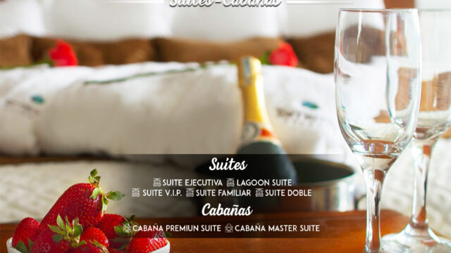 474745964_1015944670561952_6512193473471844048_n