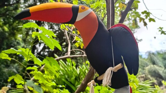 475540351_643282674876867_2029061283149676702_n