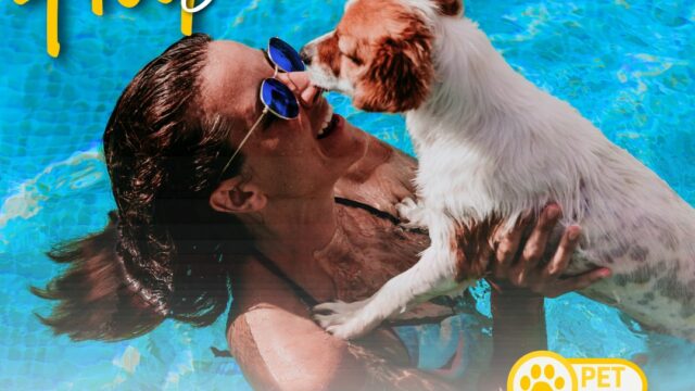 475769692_1135233408297643_4362536081986168849_n