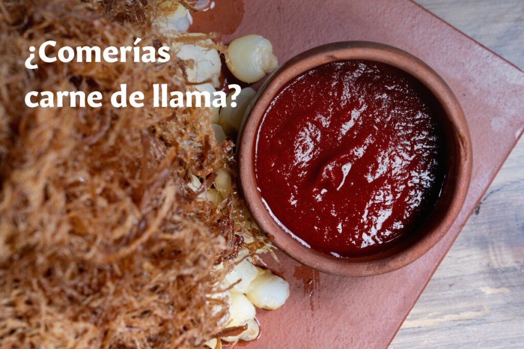 476094102_1060609889414967_6558361780163556646_n