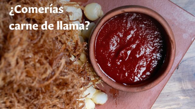 476094102_1060609889414967_6558361780163556646_n