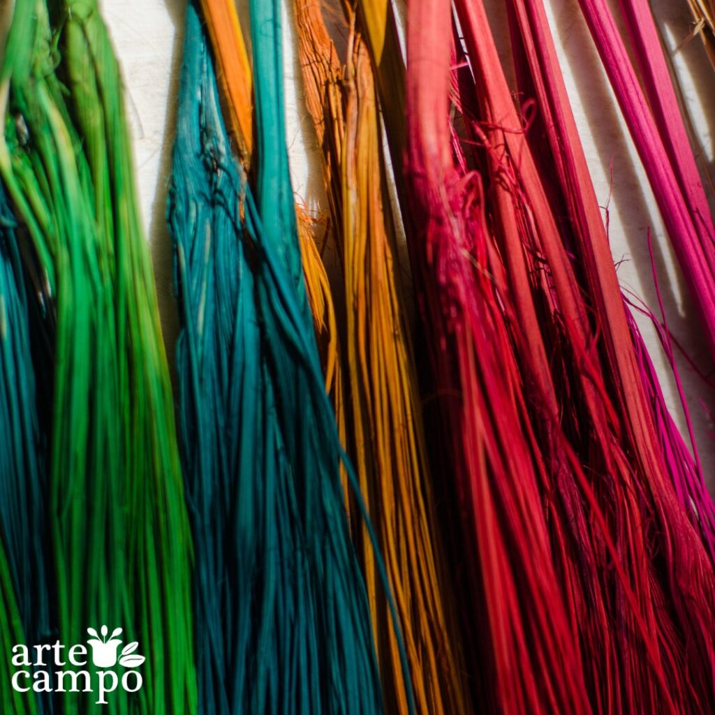 476393306_643287058209762_6406321713444841108_n