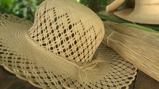 476623569_643282088210259_3755540254997480361_n