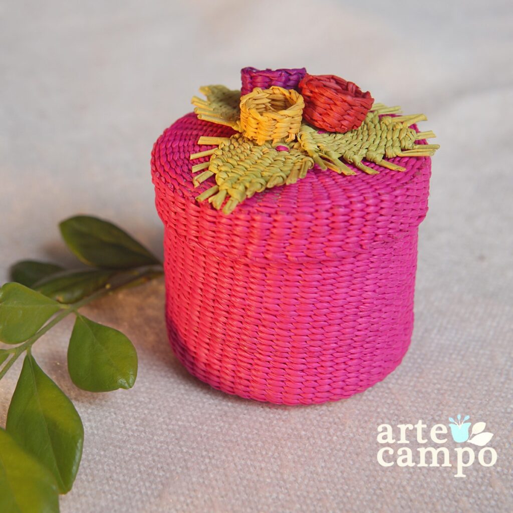 476642389_643284848209983_1109003575999204947_n