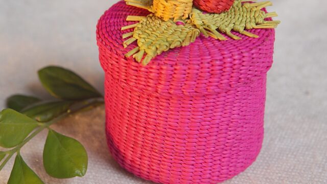 476642389_643284848209983_1109003575999204947_n