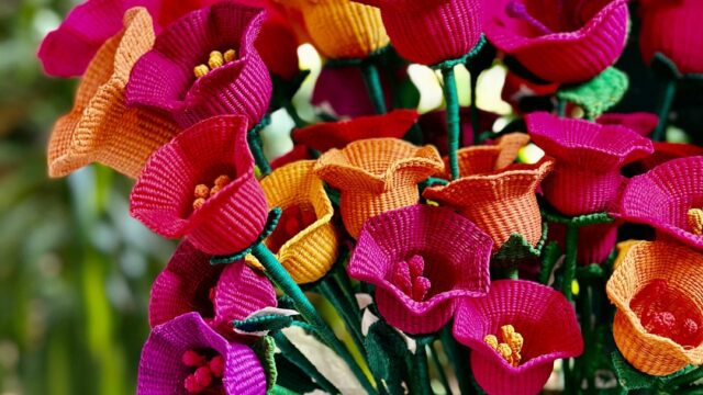 476642604_643282381543563_7800990201950784125_n