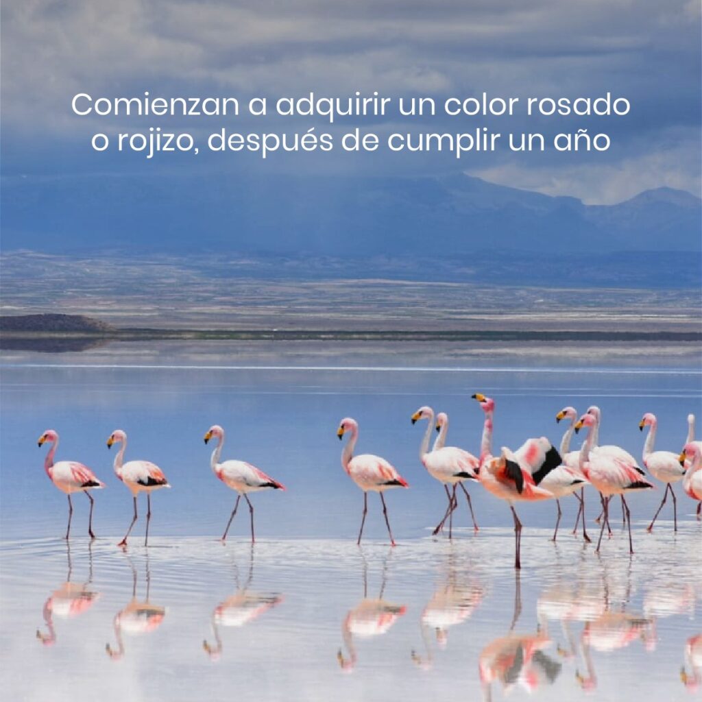 476985392_1028055859364183_5959635799493718407_n