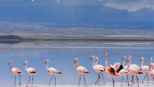 476985392_1028055859364183_5959635799493718407_n