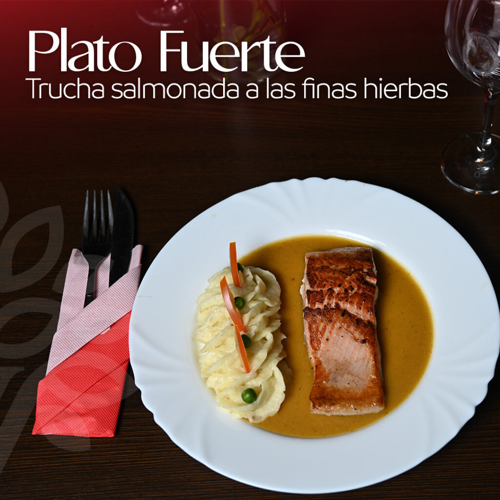 477449748_1404829054192109_6532459732241423215_n