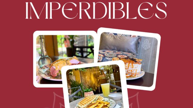 480543628_1033686012118571_1501218639854231215_n