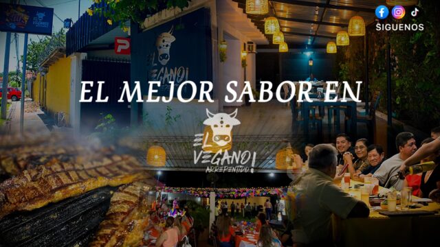 480888451_1100393232100820_6420908866437510833_n