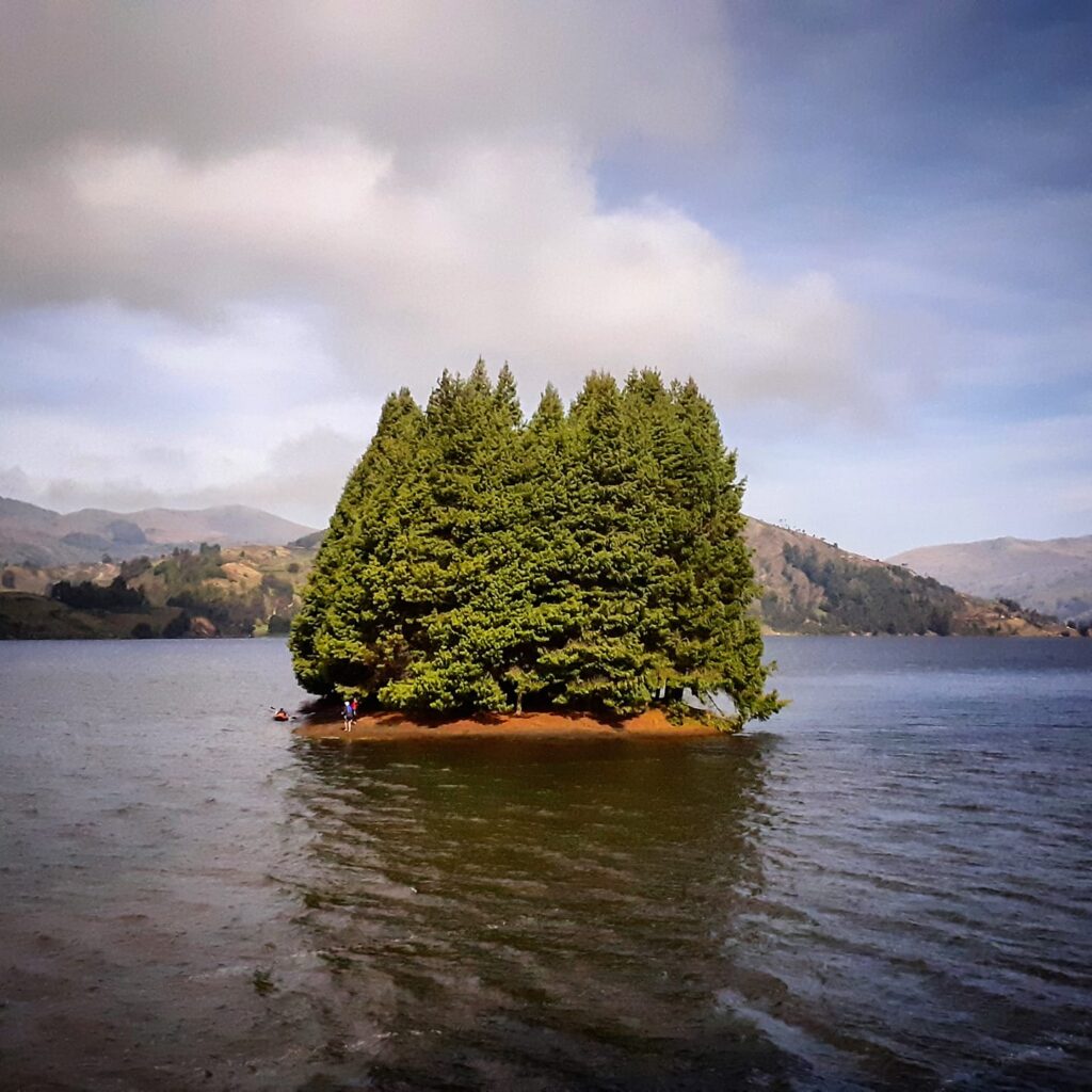 182312461_158644879525283_5447084876561158592_n