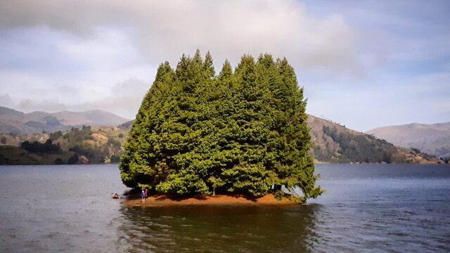 182312461_158644879525283_5447084876561158592_n