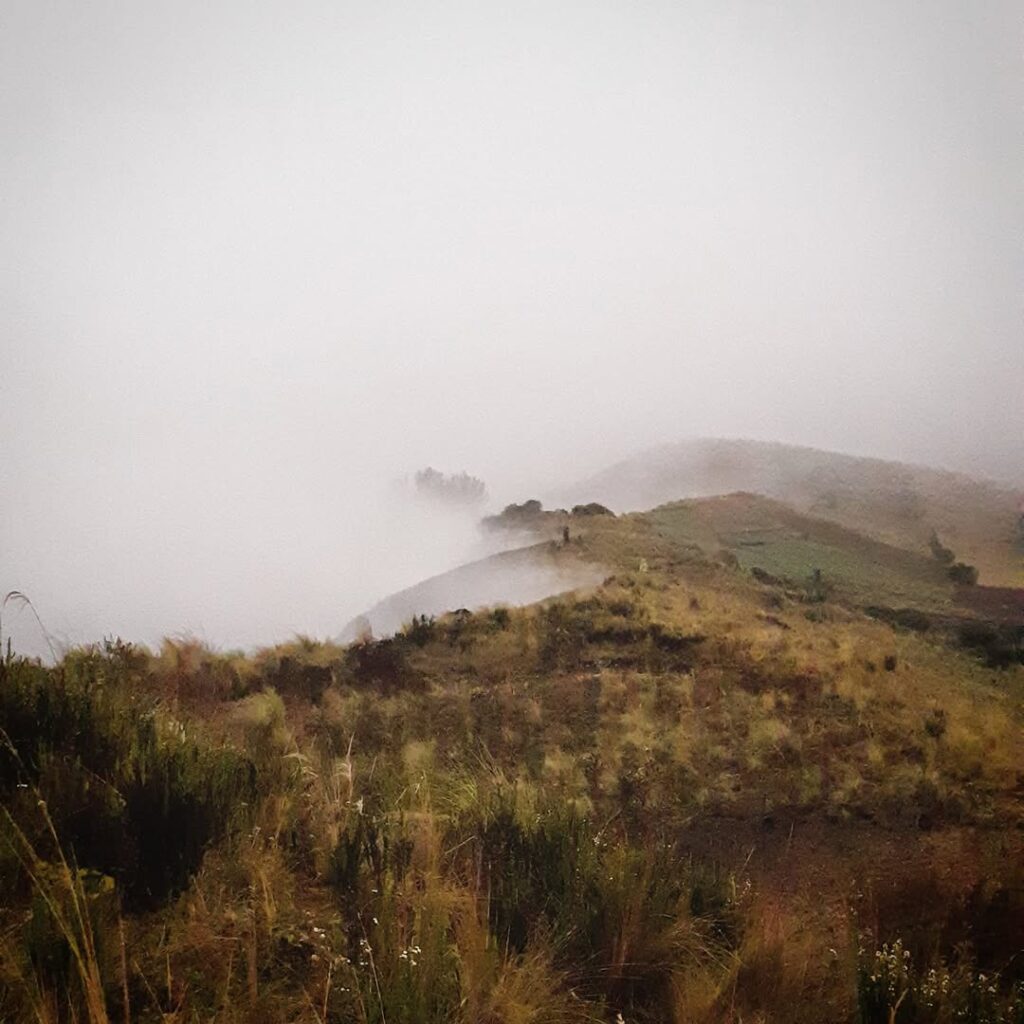 205963589_187981613258276_997944198527022266_n