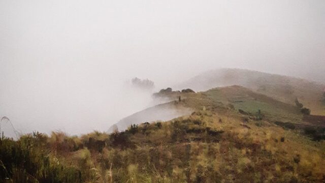 205963589_187981613258276_997944198527022266_n