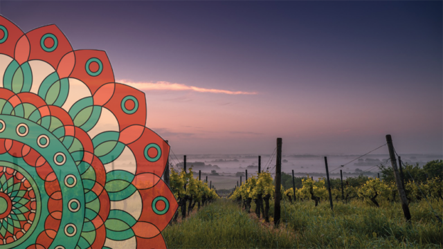 300368583_408062731425800_4559066761743296092_n