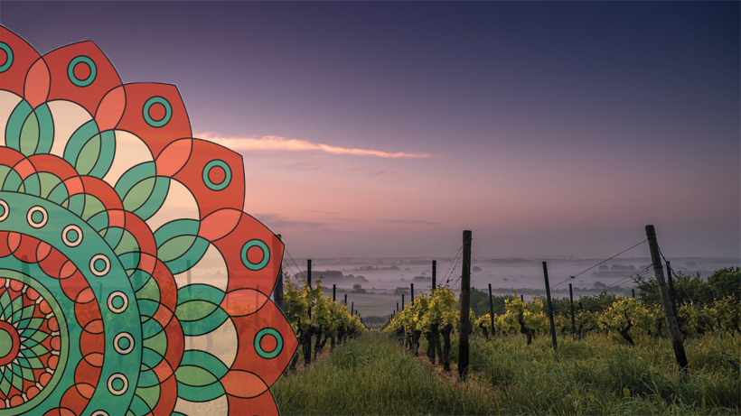 300368583_408062731425800_4559066761743296092_n