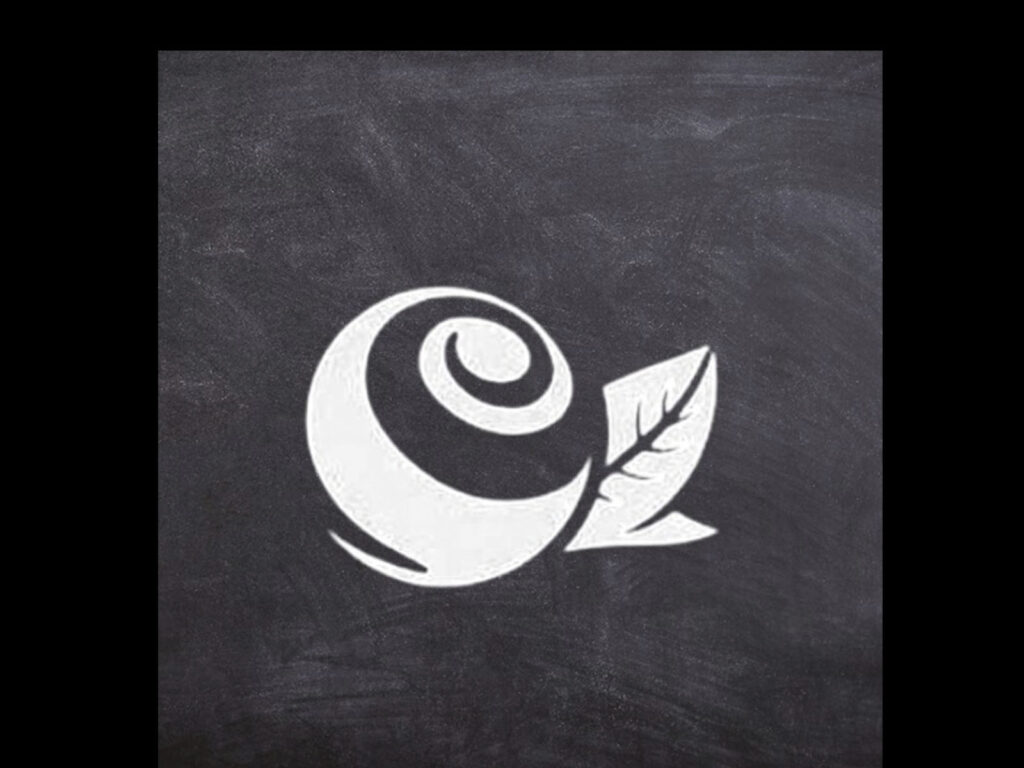 334535906_2323195387840676_8413918190481471153_n