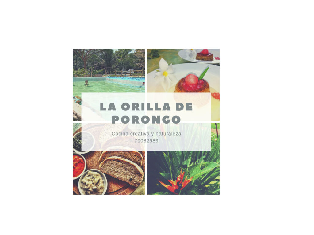 339467041_236075972289587_5798064204985871229_n