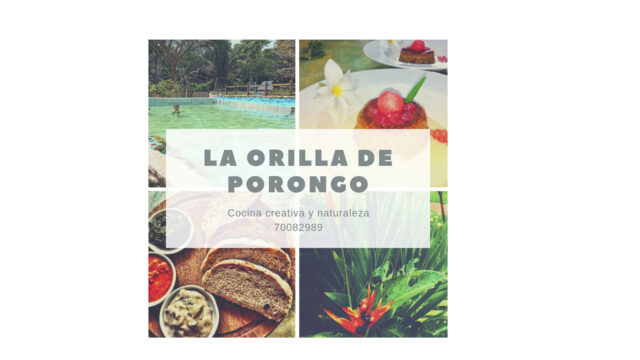 339467041_236075972289587_5798064204985871229_n