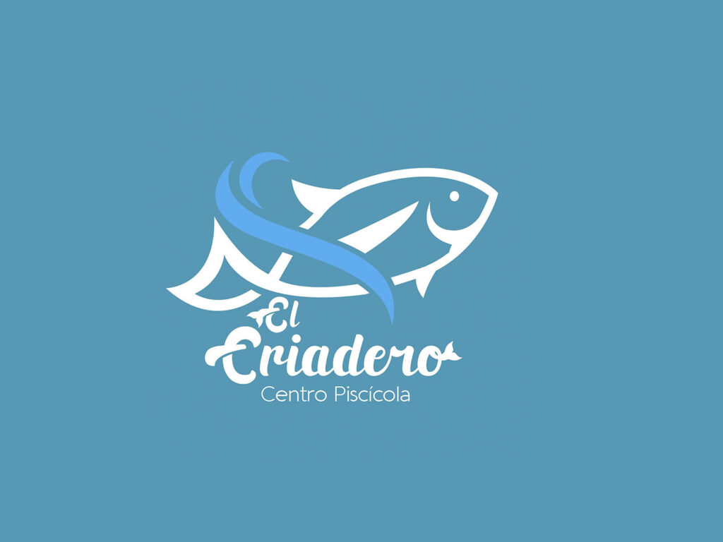 361193625_816168653287854_1798732495957825995_n