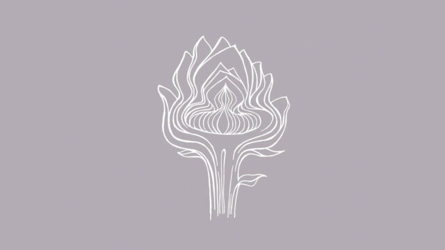 422134661_10161333511520132_3280540154611430429_n