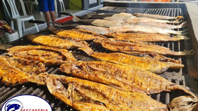 428336231_853836026755464_7370567438164668047_n