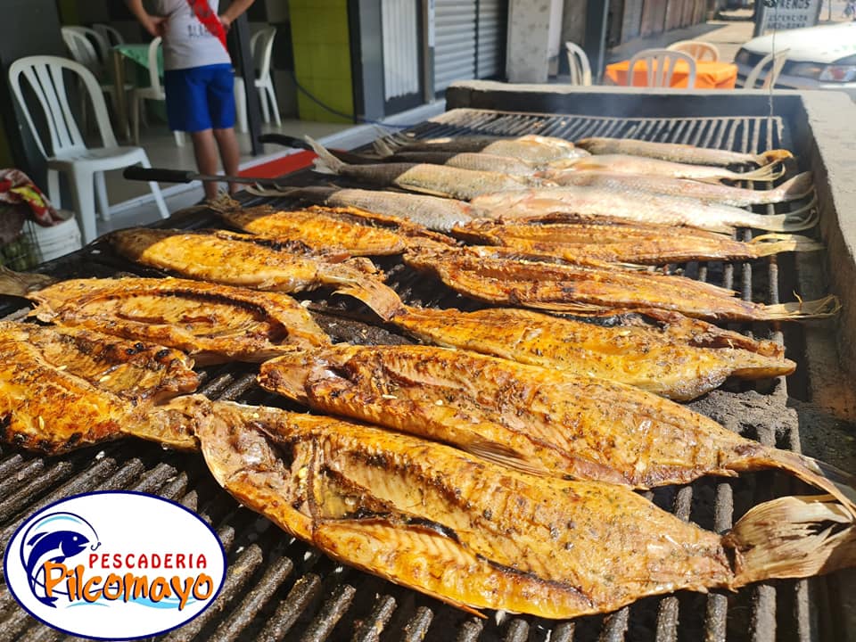 428336231_853836026755464_7370567438164668047_n