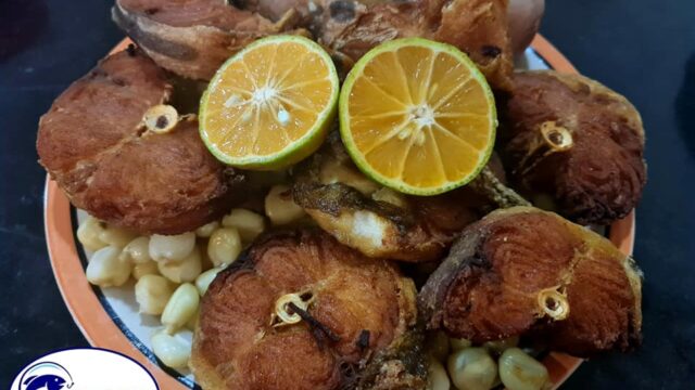 428370019_853836173422116_4842804392076656253_n