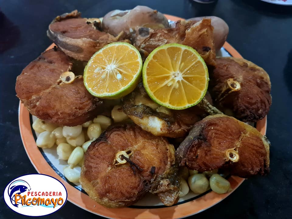 428370019_853836173422116_4842804392076656253_n