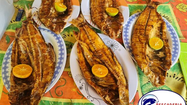 428377847_853836186755448_5146944084359743545_n