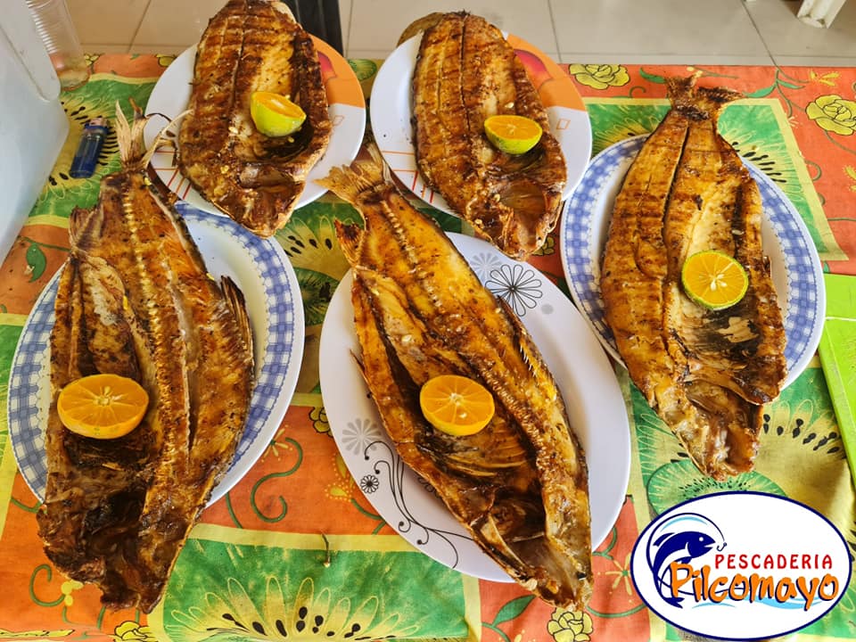 428377847_853836186755448_5146944084359743545_n