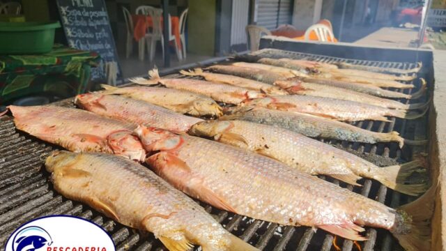 428378677_853838223421911_7482565433181510096_n