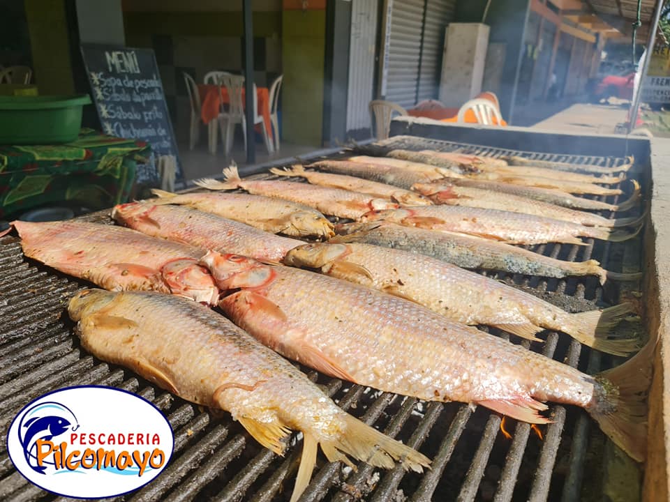 428378677_853838223421911_7482565433181510096_n