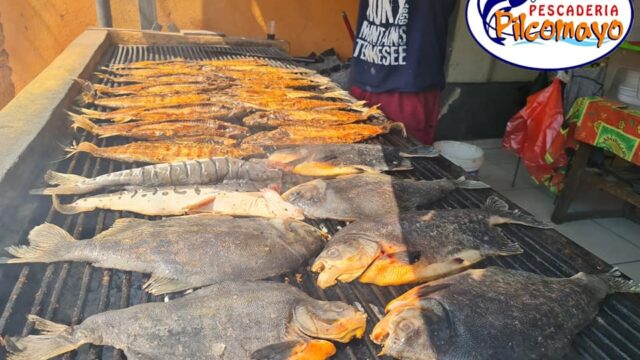 428386805_853836096755457_1128943688967976699_n