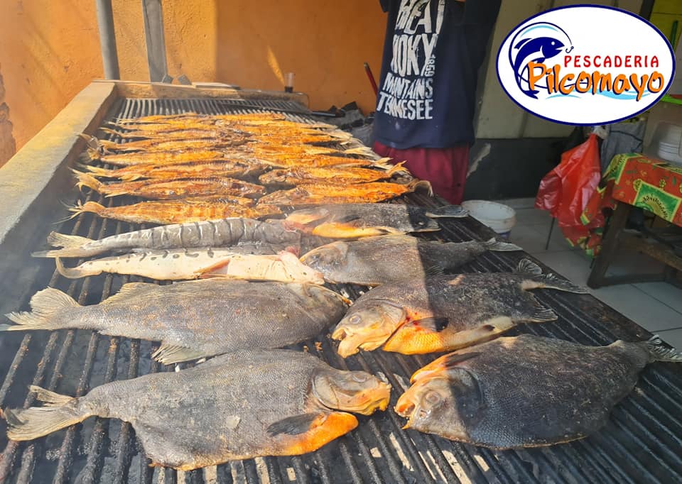 428386805_853836096755457_1128943688967976699_n