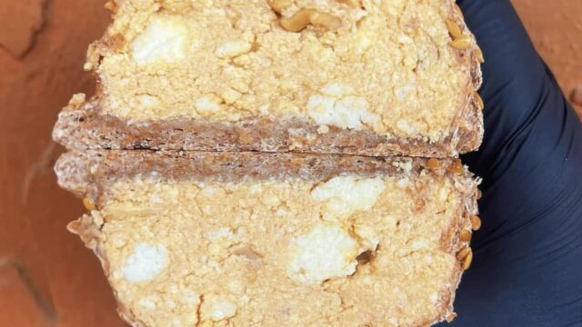 450356819_1279248589733303_47393942503803077_n