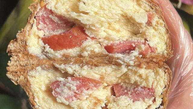 456460323_1311054426552719_4157553088921519745_n