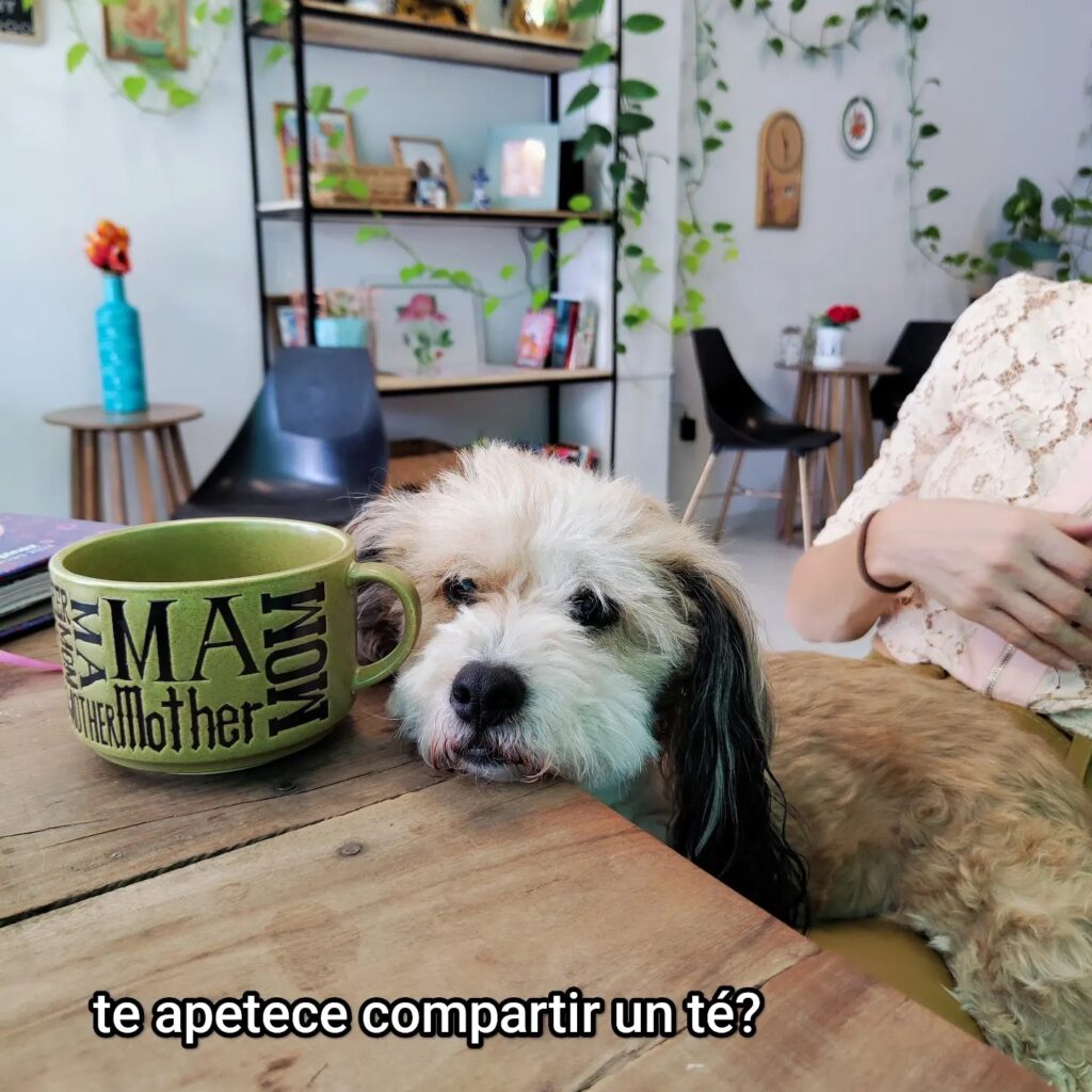 458508463_1067648018702731_588033104879413072_n