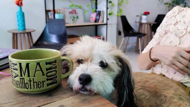 458508463_1067648018702731_588033104879413072_n