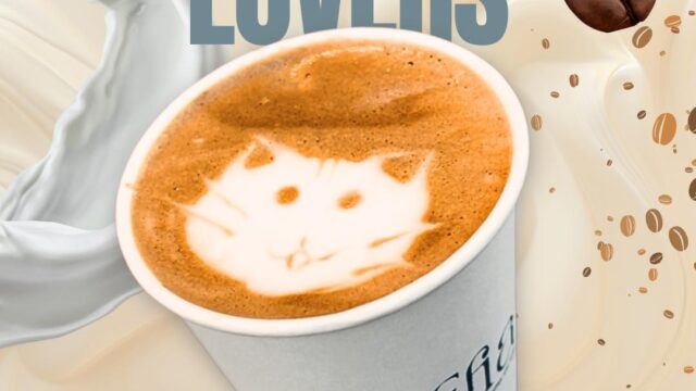 468440067_122111248496609802_1664127054421719059_n