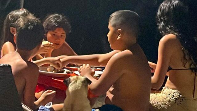 469418953_122183395334254097_4501194225718573119_n