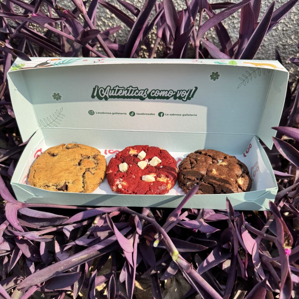 469610627_122133256742462708_2872999783602960192_n