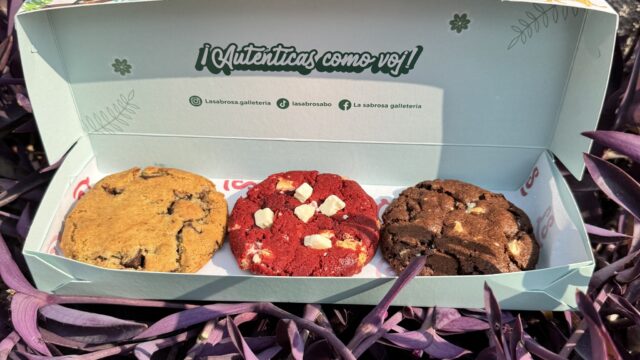 469610627_122133256742462708_2872999783602960192_n