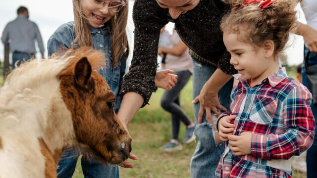 471385064_18058954738911491_6871707265934982393_n