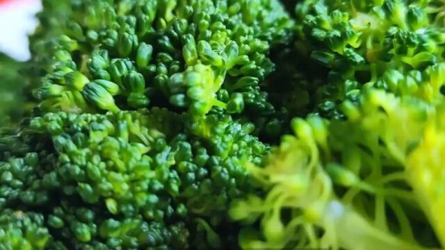 471422606_1377513643659336_6587722283914284369_n